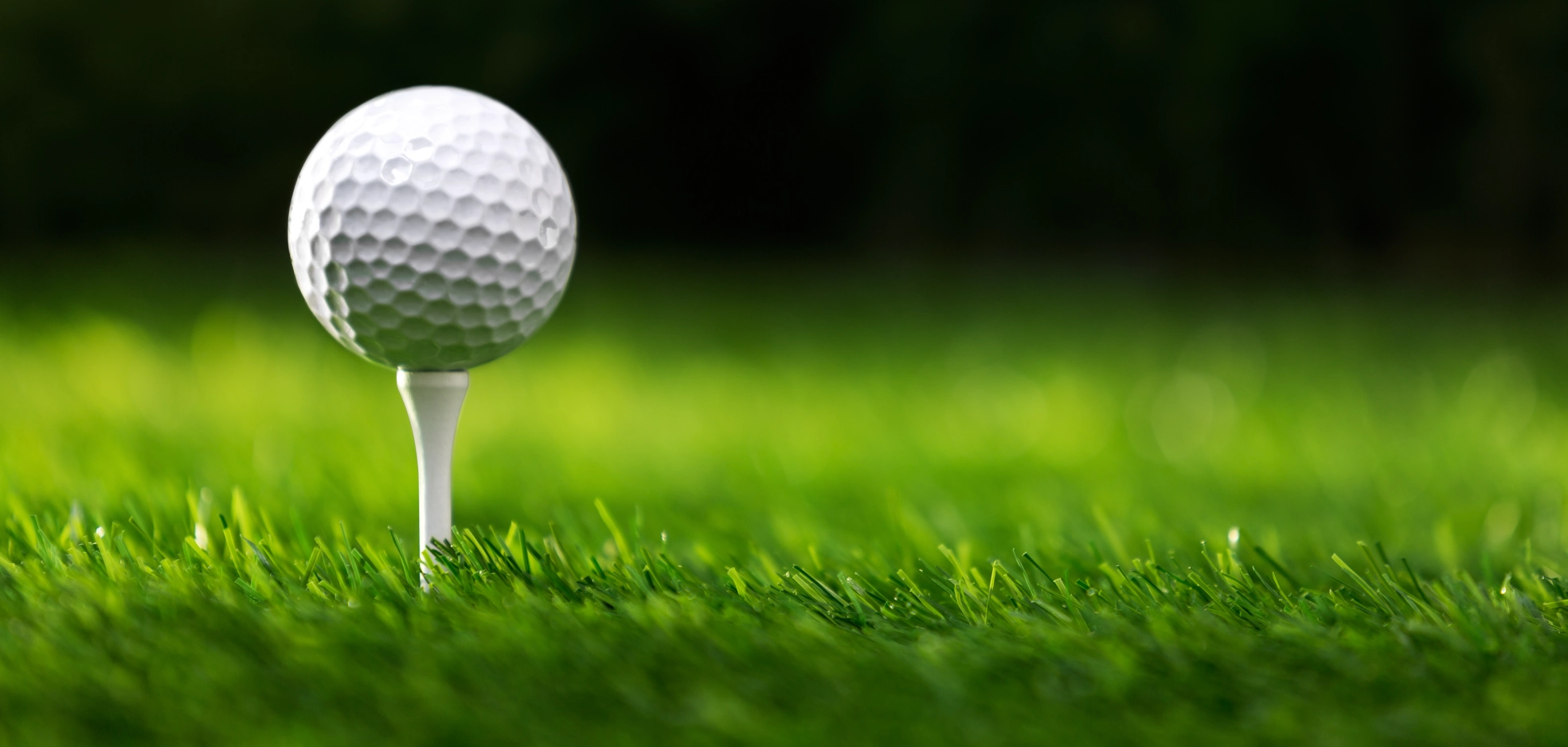 Image Gallery tec-nut.com for Acme Golf Clubs - easy website, Website Builder, Golf lessons, No Coding Website, Golf memberships, Golf tournaments, Company Website, Tec-Nut.com Websites, Golf courses, New Website, Easy Website, Simple Website